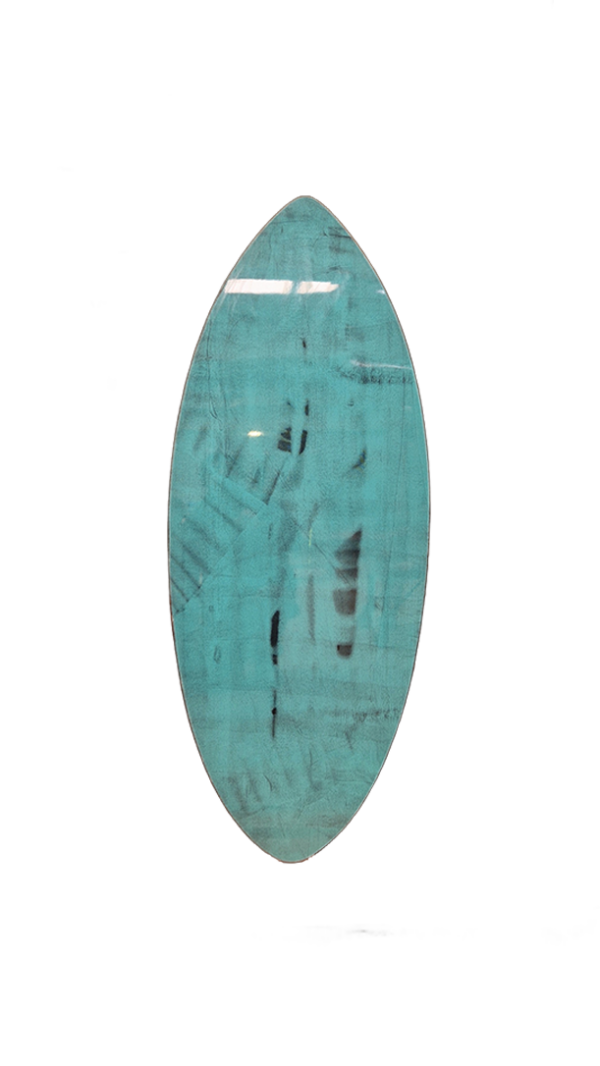 carbon skimboard