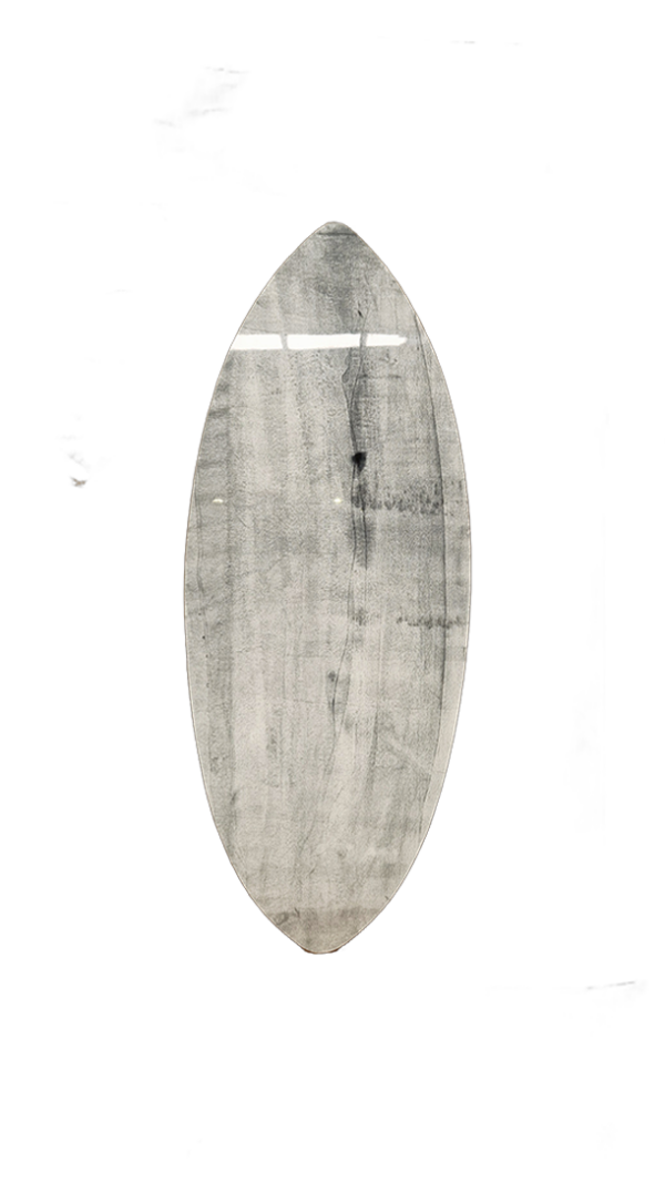 carbon skimboard