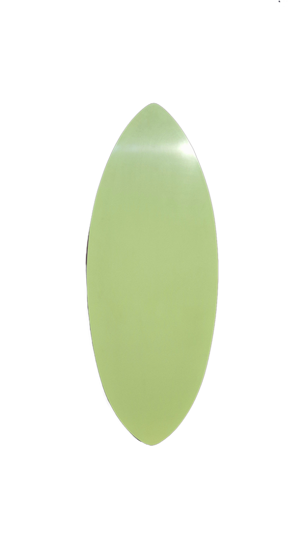 evolutiv skimboard