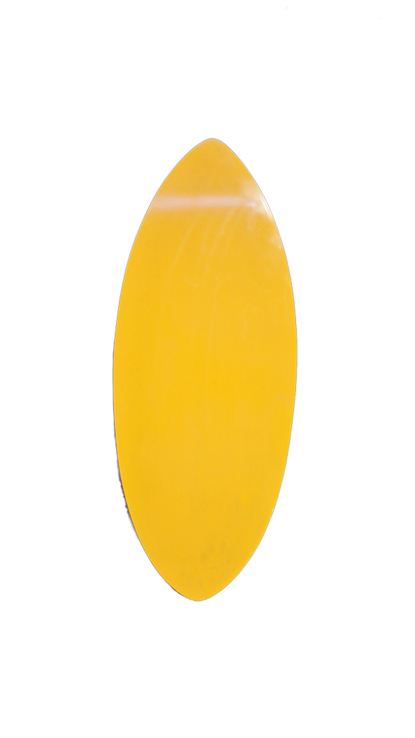 evolutiv skimboard