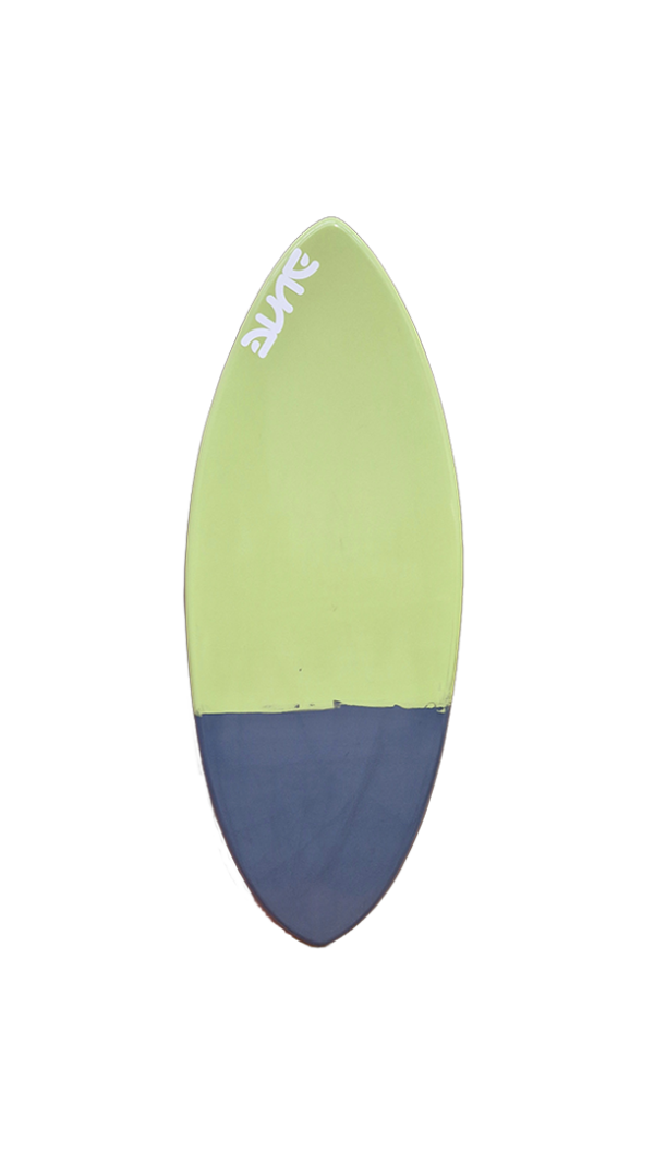 skimboard evolutiv