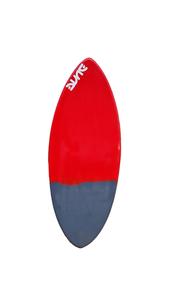 skimboard evolutiv