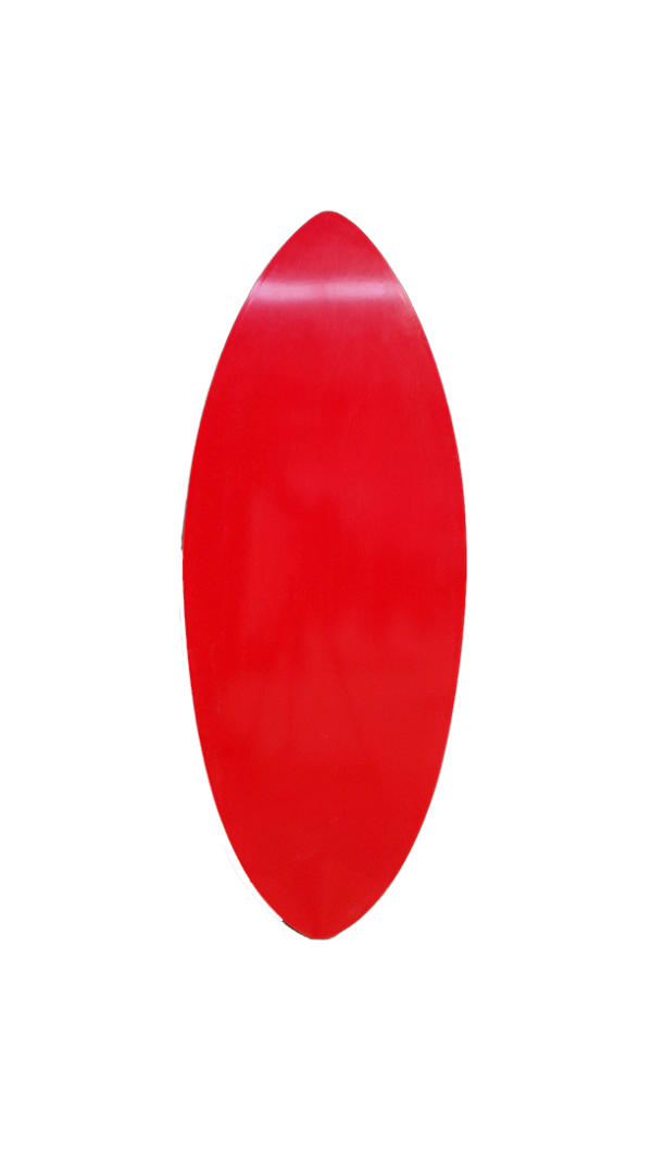 skimboard evolutiv