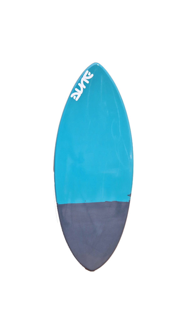 skimboard evolutiv