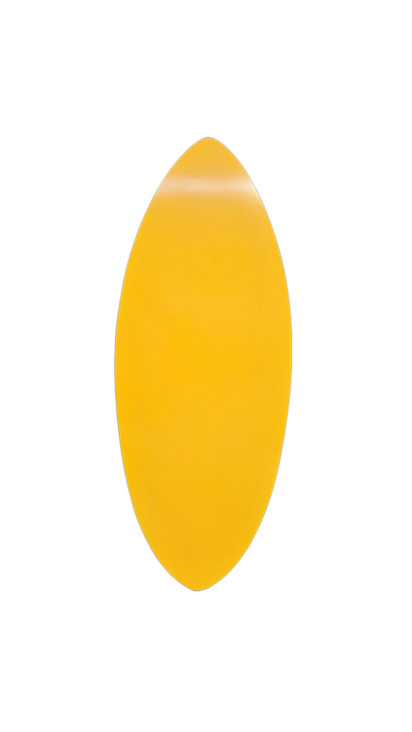 skimboard evolutiv