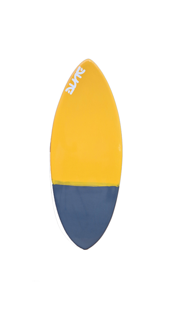 skimboard evolutiv